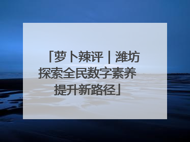 萝卜辣评｜潍坊探索全民数字素养提升新路径