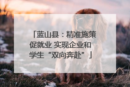 蓝山县：精准施策促就业 实现企业和学生“双向奔赴”