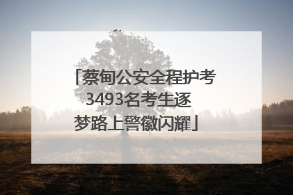 蔡甸公安全程护考 3493名考生逐梦路上警徽闪耀