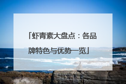 虾青素大盘点：各品牌特色与优势一览
