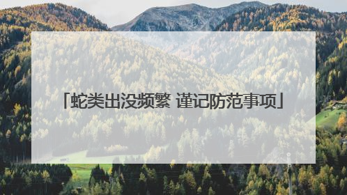 蛇类出没频繁 谨记防范事项