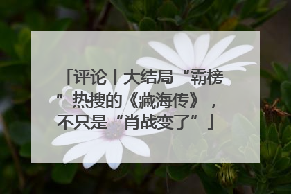 评论丨大结局“霸榜”热搜的《藏海传》，不只是“肖战变了”
