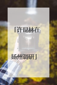 许昆林在扬州调研