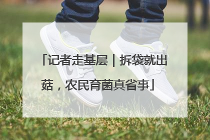 记者走基层｜拆袋就出菇，农民育菌真省事