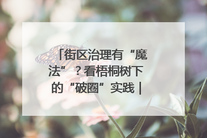 街区治理有“魔法”？看梧桐树下的“破圈”实践｜我在街区当书记