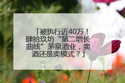 被执行近40万！肆拾玖坊“第二增长曲线”茅泉酒业，卖酒还是卖模式？