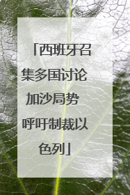 西班牙召集多国讨论加沙局势 呼吁制裁以色列