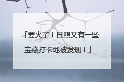 要火了！日照又有一些宝藏打卡地被发现！