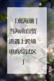 观海潮｜当海南自贸港遇上跨境电商综试区