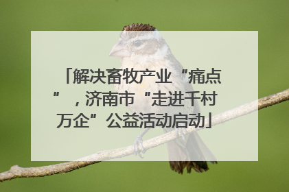 解决畜牧产业“痛点”，济南市“走进千村万企”公益活动启动