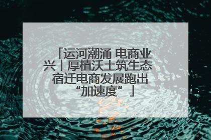 运河潮涌 电商业兴丨厚植沃土筑生态 宿迁电商发展跑出“加速度”