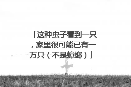 这种虫子看到一只，家里很可能已有一万只（不是蟑螂）
