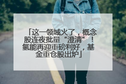 这一领域火了，概念股连夜批量“澄清”！氢能再迎重磅利好，基金重仓股出炉