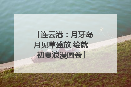 连云港：月牙岛月见草盛放 绘就初夏浪漫画卷