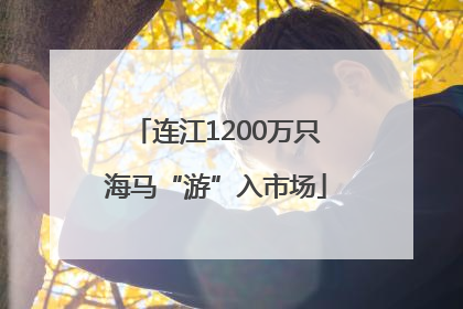 连江1200万只海马“游”入市场