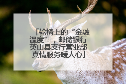 轮椅上的“金融温度”，邮储银行英山县支行营业部真情服务暖人心