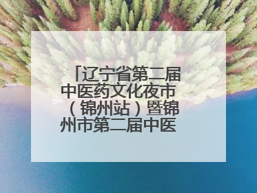 辽宁省第二届中医药文化夜市（锦州站）暨锦州市第二届中医康养夜市启幕