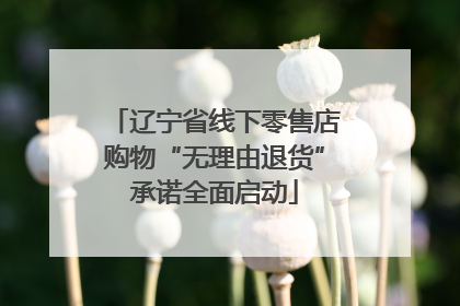 辽宁省线下零售店购物“无理由退货”承诺全面启动