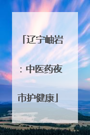 辽宁岫岩：中医药夜市护健康