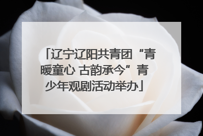 辽宁辽阳共青团“青暖童心 古韵承今”青少年观剧活动举办