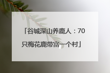 谷城深山养鹿人：70只梅花鹿带富一个村