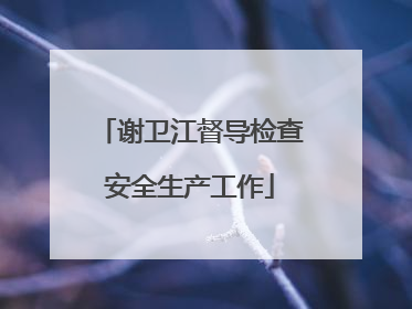 谢卫江督导检查安全生产工作