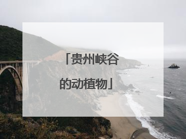 贵州峡谷的动植物
