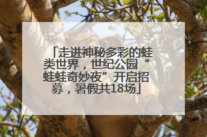 走进神秘多彩的蛙类世界，世纪公园“蛙蛙奇妙夜”开启招募，暑假共18场