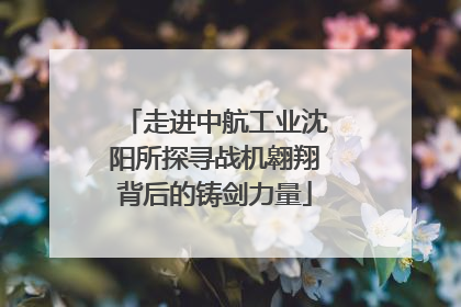 走进中航工业沈阳所探寻战机翱翔背后的铸剑力量
