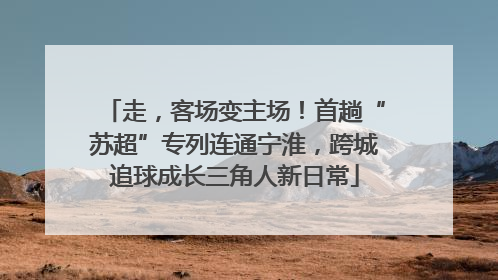 走，客场变主场！首趟“苏超”专列连通宁淮，跨城追球成长三角人新日常