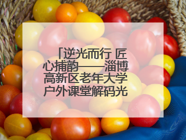 逆光而行 匠心捕韵——淄博高新区老年大学户外课堂解码光影美学密码