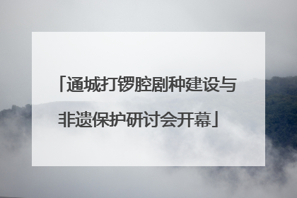 通城打锣腔剧种建设与非遗保护研讨会开幕