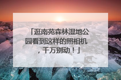 逛南苑森林湿地公园看到这样的照相机，千万别动！