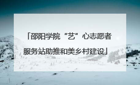 邵阳学院“艺”心志愿者服务站助推和美乡村建设