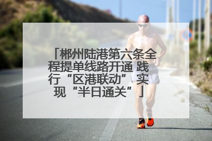郴州陆港第六条全程提单线路开通 践行“区港联动” 实现“半日通关”
