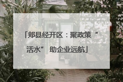 郏县经开区：聚政策“活水” 助企业远航