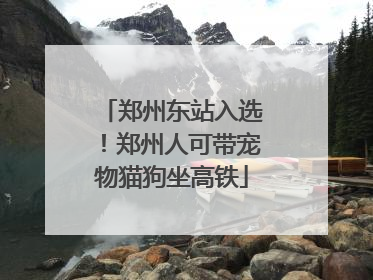 郑州东站入选！郑州人可带宠物猫狗坐高铁