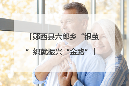 郧西县六郎乡“银茧”织就振兴“金路”