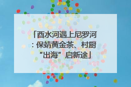 酉水河遇上尼罗河：保靖黄金茶、村厨“出海”启新途