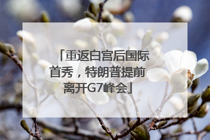 重返白宫后国际首秀，特朗普提前离开G7峰会