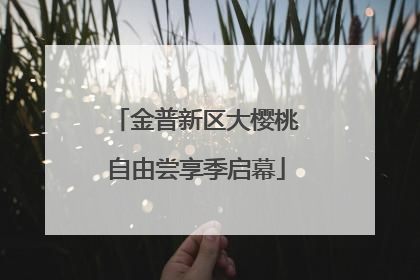 金普新区大樱桃自由尝享季启幕