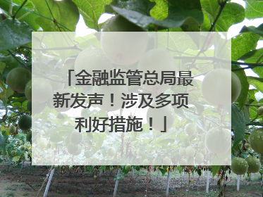 金融监管总局最新发声！涉及多项利好措施！