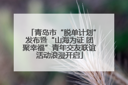 青岛市“脱单计划”发布暨“山海为证 团聚幸福”青年交友联谊活动浪漫开启