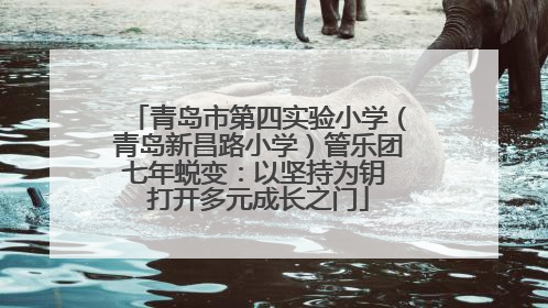 青岛市第四实验小学（青岛新昌路小学）管乐团七年蜕变：以坚持为钥 打开多元成长之门