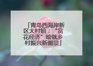 青岛西海岸新区大村镇：“赏花经济”绘就乡村振兴新图景