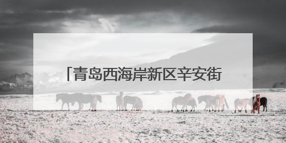 青岛西海岸新区辛安街道执法中队：筑牢执法防线 全力护航高考