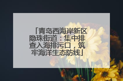 青岛西海岸新区隐珠街道：集中排查入海排污口，筑牢海洋生态防线
