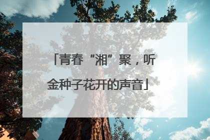 青春“湘”聚，听金种子花开的声音