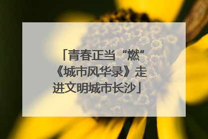 青春正当“燃”《城市风华录》走进文明城市长沙