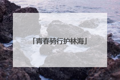 青春骑行护林海
